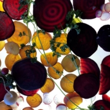 Passover: Light Table with Root Vegetables